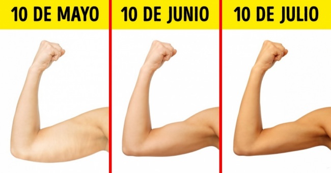 ejercicios para reducir brazos y espalda